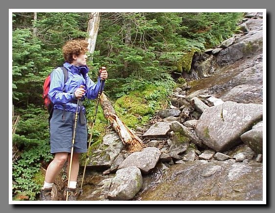 looking_up_trail