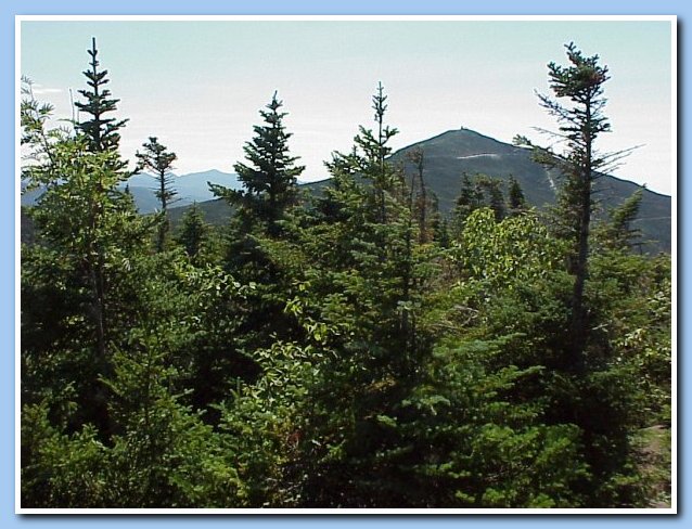 whiteface_fm_esther