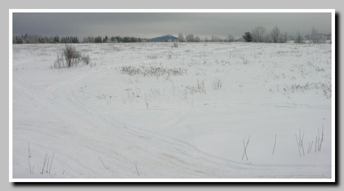 15-whiteface_from_86