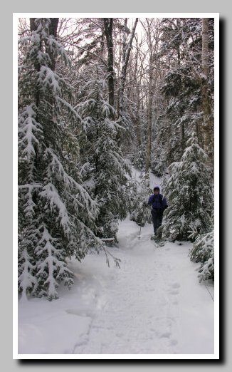 27-marcydam_susan_in_thick_woods